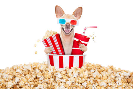 chihuahua dog going to the movies with soda and glasses and popcorn and tickets, isolated on white backgroundの写真素材