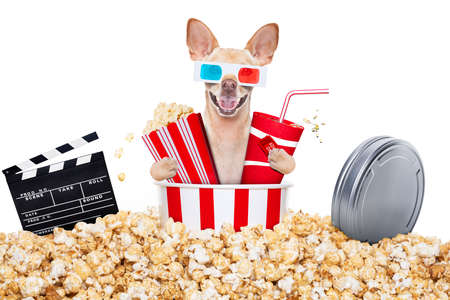 chihuahua dog going to the movies with soda and glasses and popcorn and tickets, isolated on white backgroundの写真素材