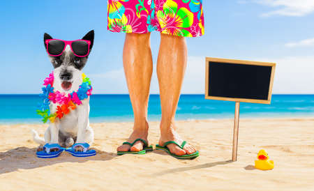 Dog and owner sitting close together at the beach on summer vacation holidays, close to the ocean shore, wearing fancy funny sunglassesの写真素材