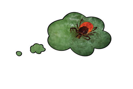 Pest bug on a green thought bubble isolated on white background