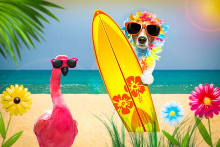summer paradise vacation surfer jack russell dog with surfboard and sunglasses besides a pink flamingo isolated on white background,  and palms on the beachの写真素材