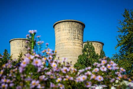 Power plant furnaces with flowers in the foreground.の写真素材
