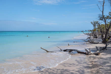 Cayo Jutias beach in Cuban Caribbean seaの写真素材