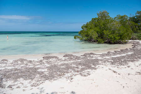 Cayo Jutias beach in Cuban Caribbean seaの写真素材