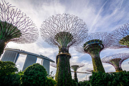 beautiful Gardens by the Bay in Singaporeのeditorial素材