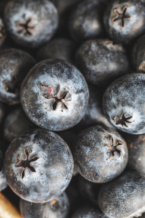 Blueberry background. Close up of fresh ripe blueberries. top view.