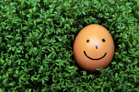 Easter egg on cressの写真素材