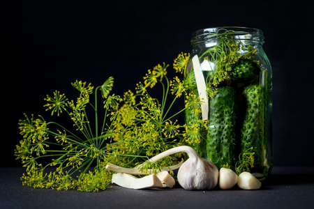Preparing pickled cucumbers with herbs, garlic and dill. Marinated cucumber gherkins in glass jar on black background. Homemade preservesの写真素材