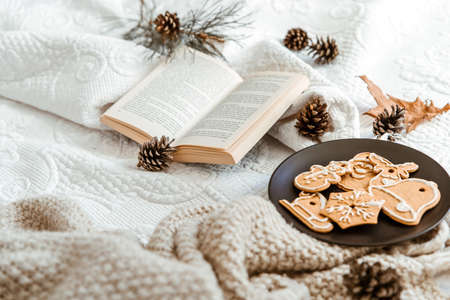 Cozy winter day at home in bed with warm knitted blanket, book and gingerbread. Leisure time on cold winter weekend. Christmas, relaxation and hygge conceptの写真素材