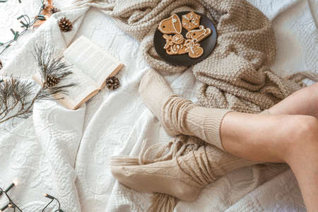 Cozy winter day at home in bed with warm knitted blanket, book and gingerbread. Woman wearing warm woolen socks on cold winter weekend. Christmas, relaxation and hygge conceptの写真素材