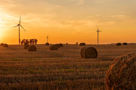 Hay bales on harvested farm field at sunset. Big straw balls on stubble. Summer agriculture landscape with wind power plant in the backgroundの写真素材