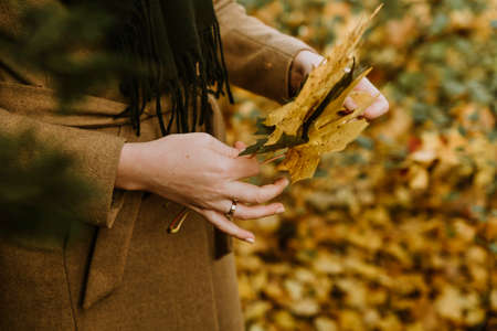 Woman in brown coat holding bouquet of autumn yellow maple leaves while walking in city park. Autumn...