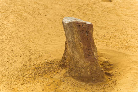 One limestone pinnacle in the Pinnacles Desert, Nambung National Park, Western Australia. Yellow...