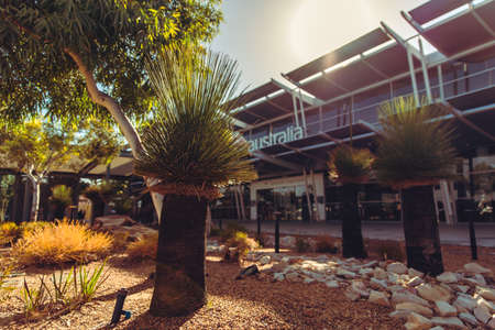 Perth, Australia, Nov 2019: Australian native bush plants and grass trees outside the departure terminal at Perth airportのeditorial素材