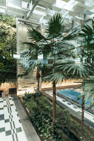 Singapore, Nov 2019: Palm trees inside Changi Airport terminal. Green interior design in the public areaのeditorial素材