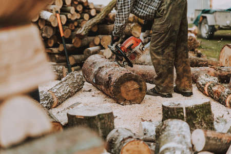 Woodcutter working with chainsaw. Man cutting wood logs for firewood.の写真素材