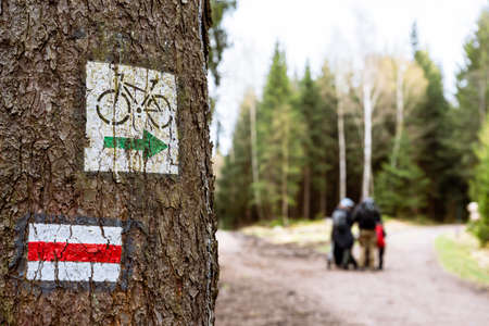 Painted way marking on a tree in forest along hiking trail and mountain bike trail