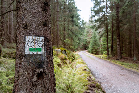 Painted bike sign on a tree in the forest along mountain bike trailの写真素材