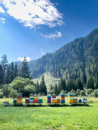 A beautiful collection of colorful beehives and small bee houses placed in a lush green meadow,...