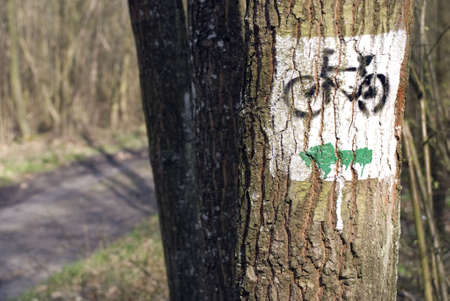 bicycle sign on the treeの写真素材