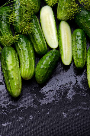 Raw cucumbers and fennel plants washed with water の写真素材