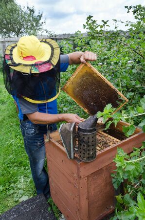 An apiarist taking out a honey frame out of a beehiveの写真素材