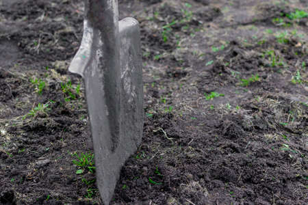 A shovel stuck in the ground as a symbol of diligence and work with the earth. Selective focusの写真素材