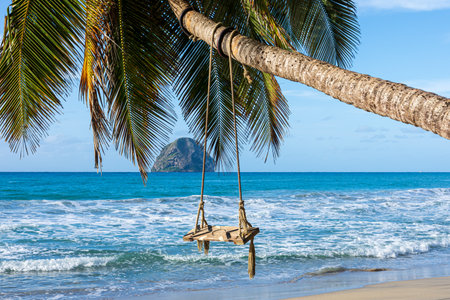 Tropical Palm Tree with Swing on Diamond Beach, Facing Diamond Rock, Martinique, French Caribbeanの写真素材