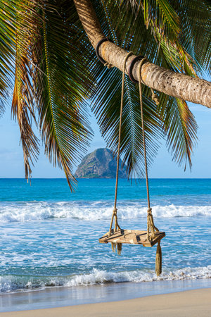 Tropical Palm Tree with Swing on Diamond Beach, Facing Diamond Rock, Martinique, French Caribbeanの写真素材