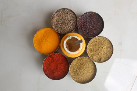 Variety of spices in metal containers on white background. Top view. Authentic Indian Spices are used in all the kitchens in India.の写真素材
