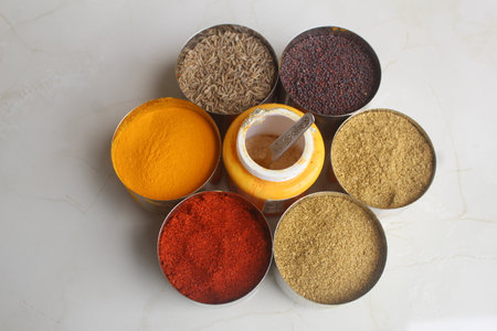 Variety of spices in metal containers on white marble background. Top view. Authentic Indian Spices are used in all the kitchens in India.の写真素材