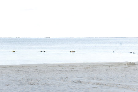 White sand beach and blue sea in winter time. Beautiful landscape background.の写真素材