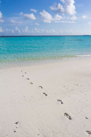 footprints on the white sands of the Maldivesの写真素材