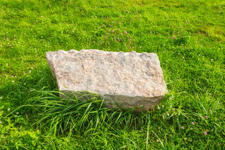 Big stone on green grassの写真素材