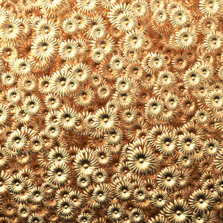 Beauty golden flowers scatering in wall 3D illustrationの写真素材