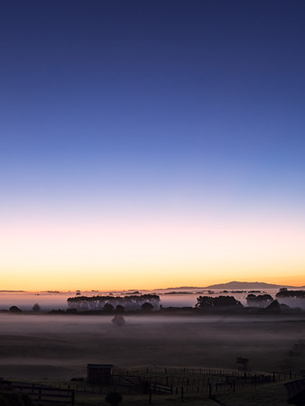 Early Morning Farmland Scenery before Dawn with Trees, Fog and Mistの写真素材