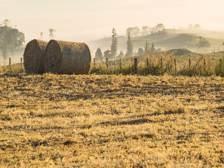 Hay Bales Bathe in the Morning Sunshine in a Crop Field on a Countryside Farmの写真素材