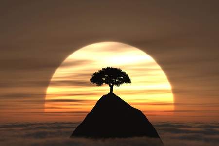 A tree on the mountain above the clouds with sunset on the backgroundの写真素材