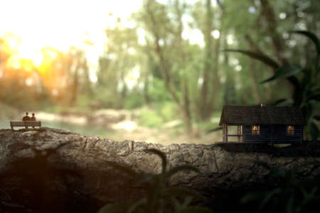 The photo shows a little green house built on a tree trunk and a loving couple sitting on a bench watching a lake.の写真素材