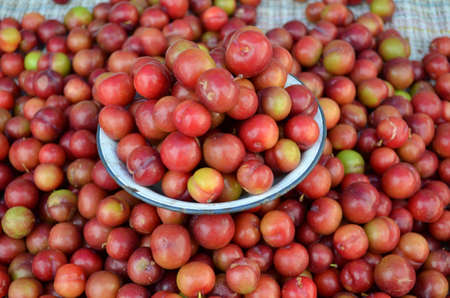 Plums In the basket at local marketの写真素材