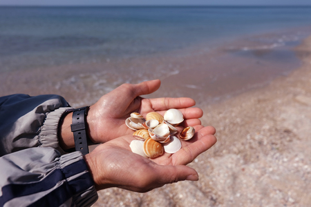 Picking up shells on the beachの写真素材