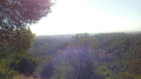 Deep forest in Europe with river and lakeの写真素材