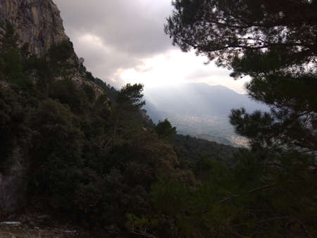 Deep forest in Europe with river and lakeの写真素材