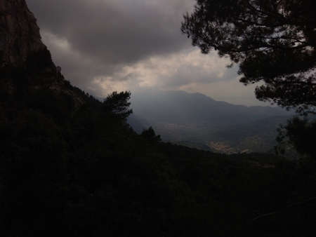 Deep forest in Europe with river and lakeの写真素材