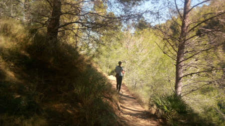 Deep forest in Europe with river and lakeの写真素材