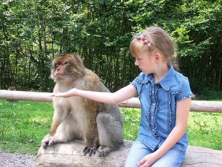 A girl feeding a monkey