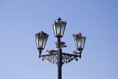 Old fashioned street lamps with birds against clear blue sky.の写真素材