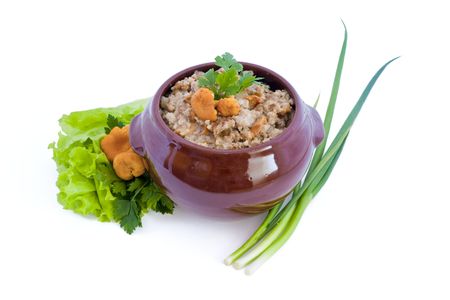 Beef stroganoff in hot pot, traditional russian style, closeupの写真素材