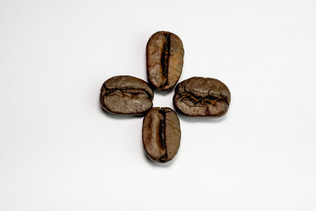 coffee in beans on a white backgroundの写真素材