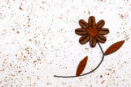 black coffee grains and ground coffee laid out in the form of a flower on a white backgroundの写真素材